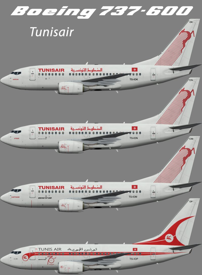 737-600 Эксплуатанты