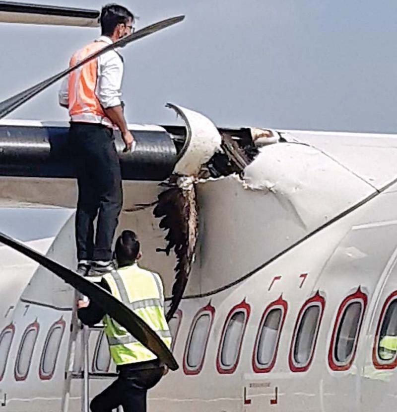 ATR 72 пассажирские самолёты