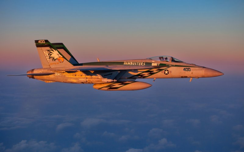 Военный самолет f14 Tomcat