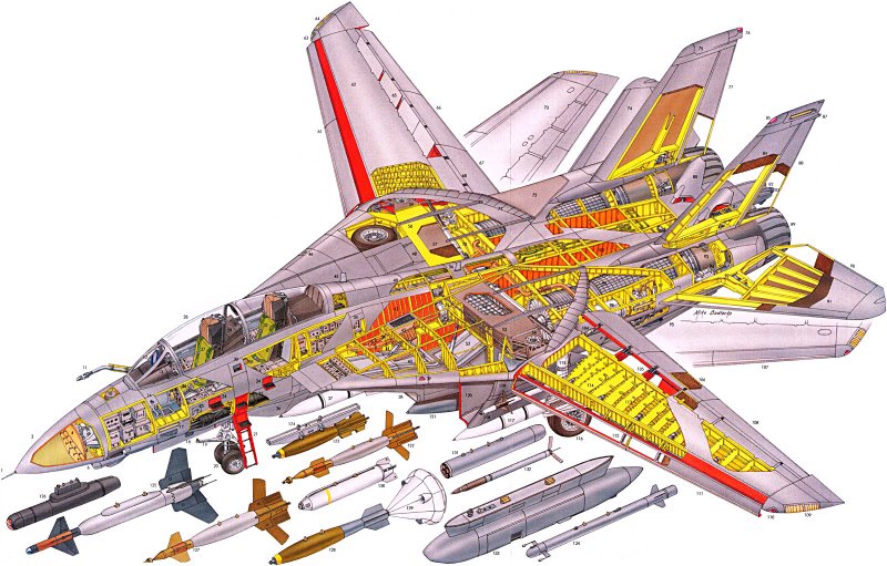 F-14 Tomcat Компоновочная схема