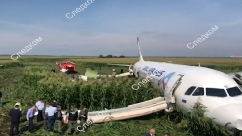 Уральские авиалинии кукурузное поле пилот