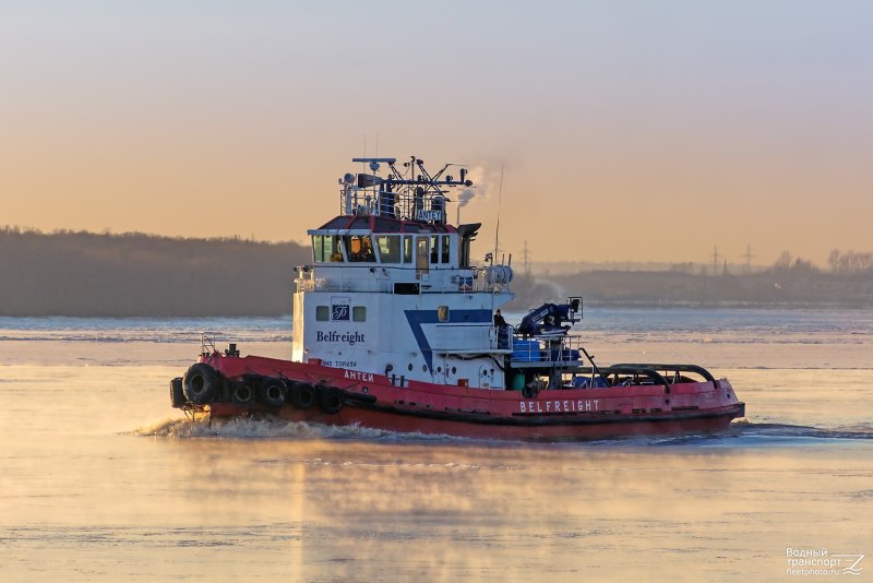 Буксир толкач морской