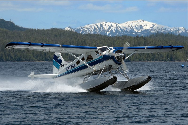 De Havilland Canada DHC-2 beaver