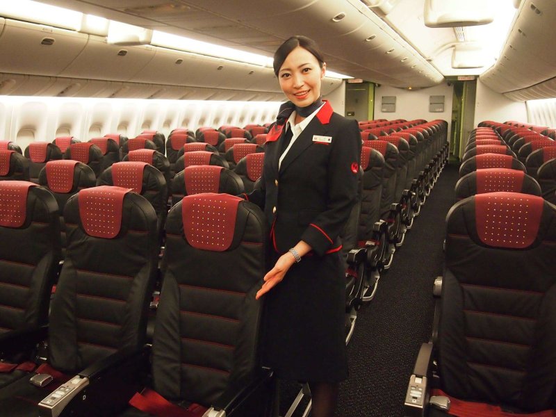 Japan Airlines самолеты