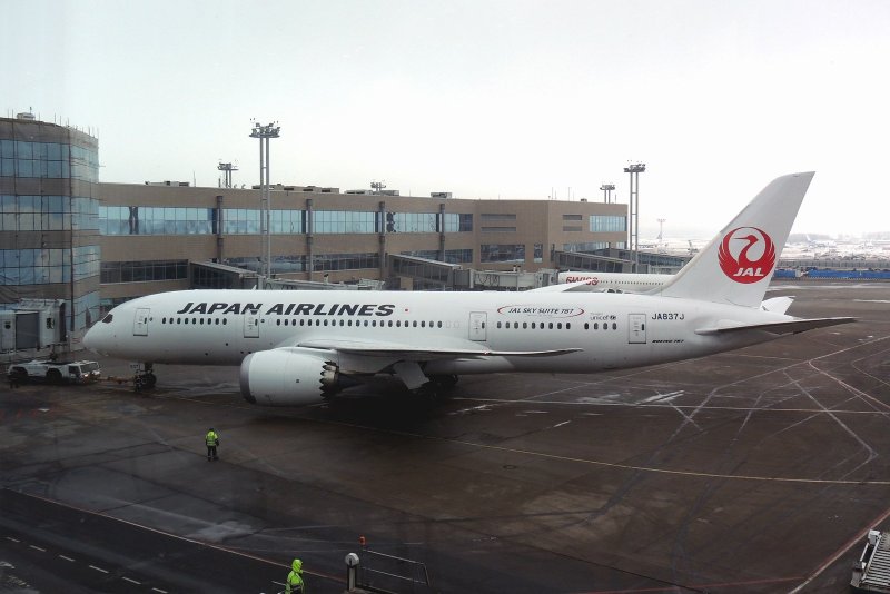Japan Airlines в Домодедово