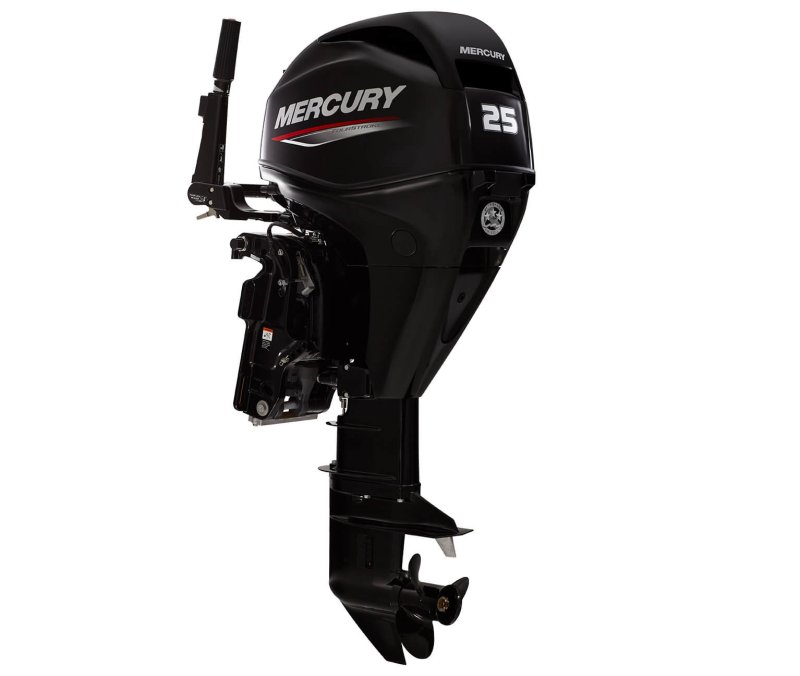 Mercury f30 ELPT EFI