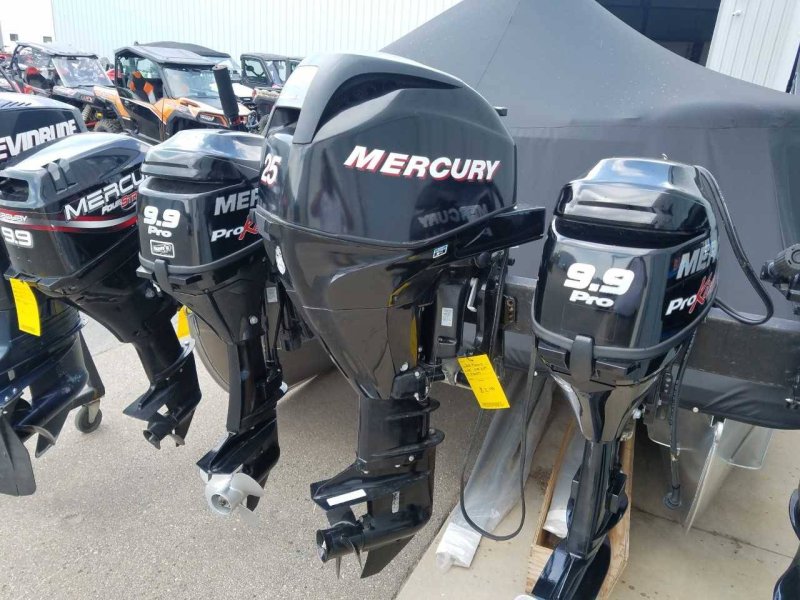 Mercury 25 EFI