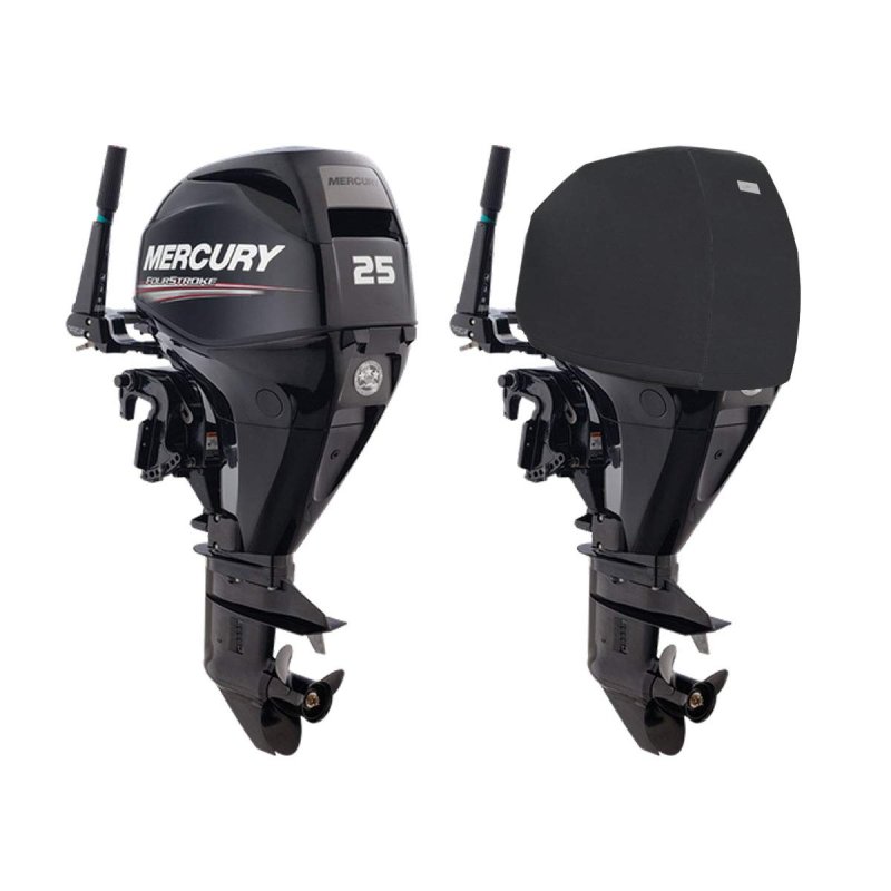 Yamaha outboards 300