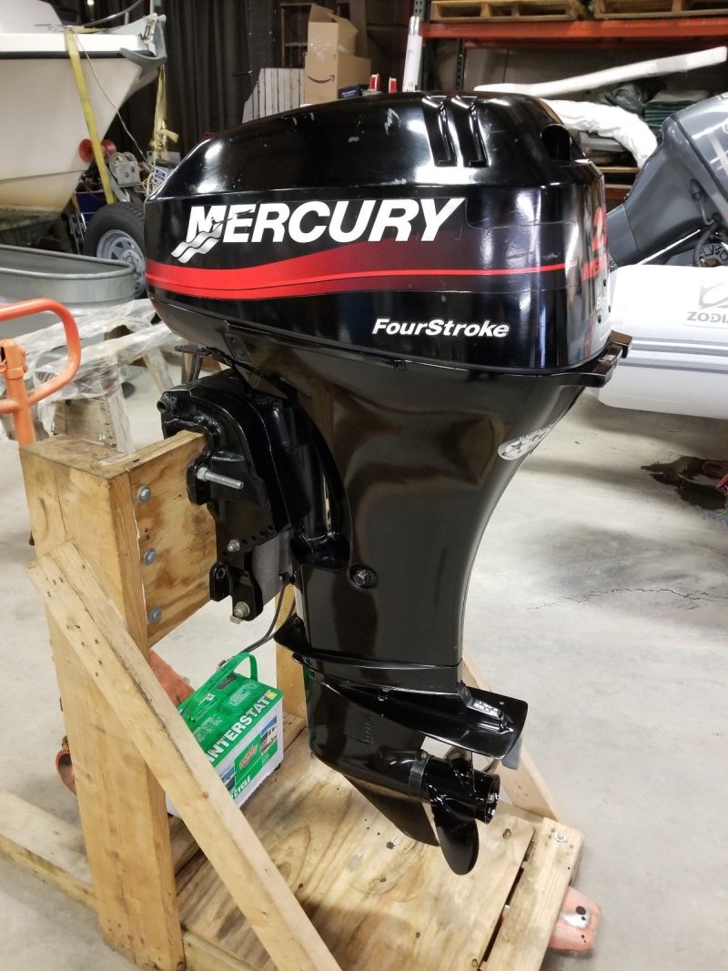 Mercury EFI four stroke