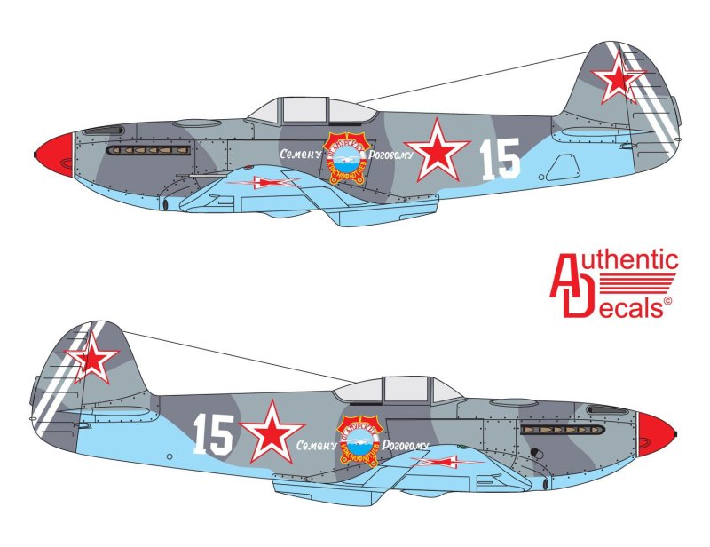 Самолет як 3 камуфляж