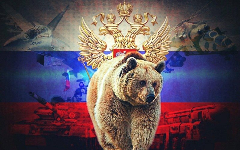 Флаг с медведем