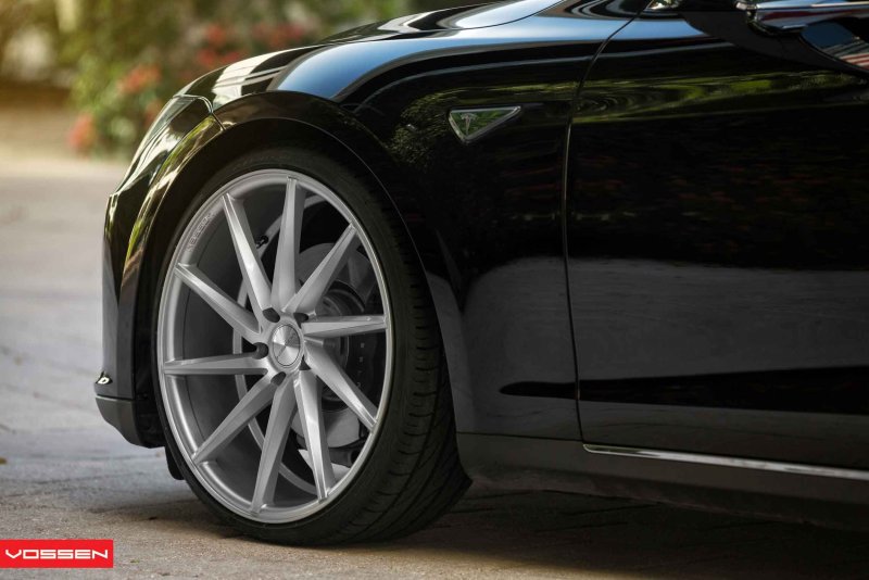Vossen nf2