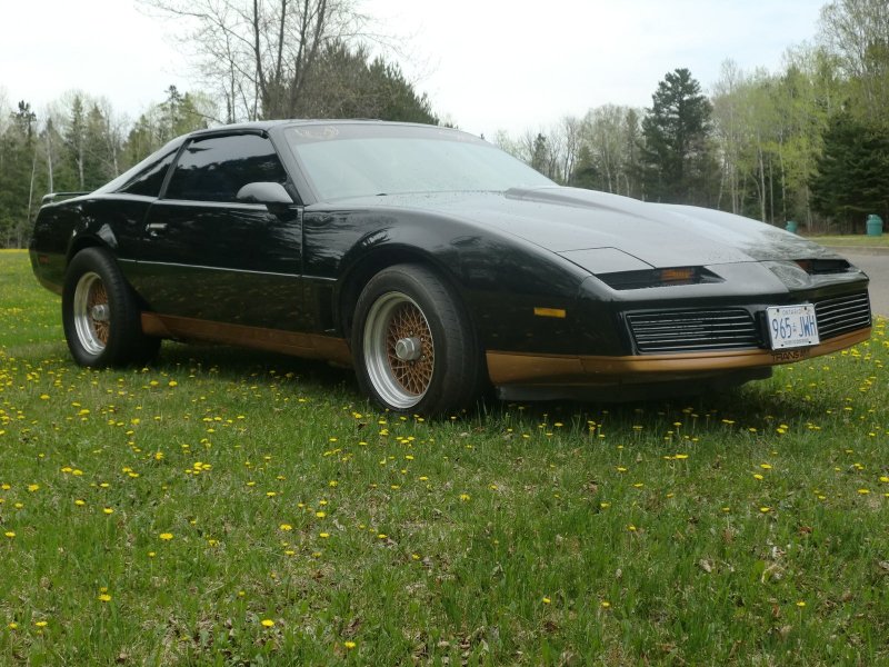 Firebird 1983
