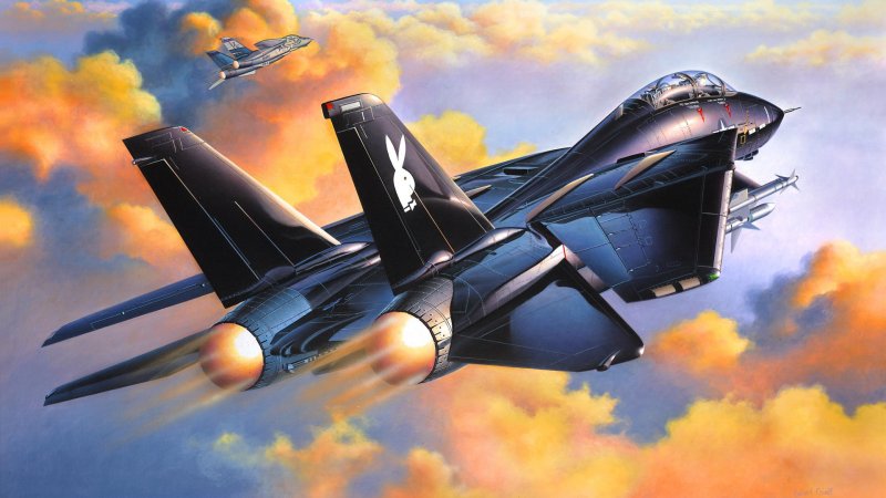 Ф-14 Томкэт