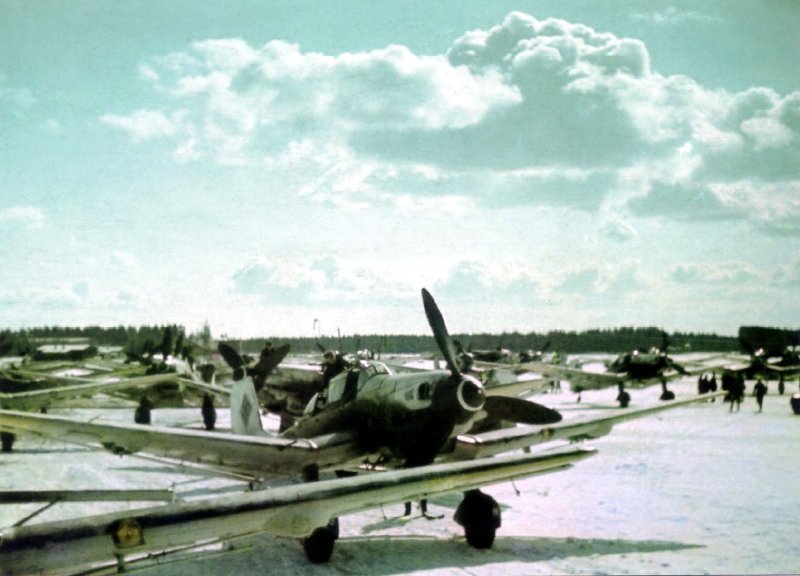 Ju87 Color