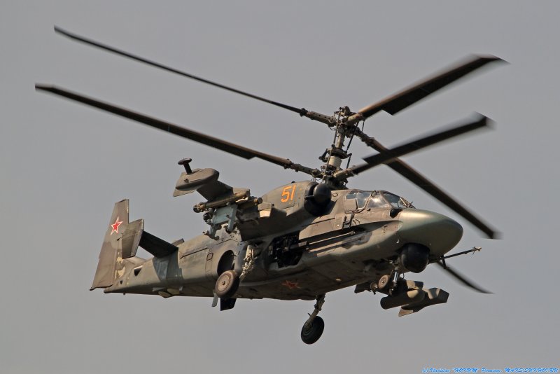 Ка-52 Аллигатор модель