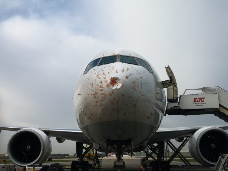 Boeing 777 грузовой самолет