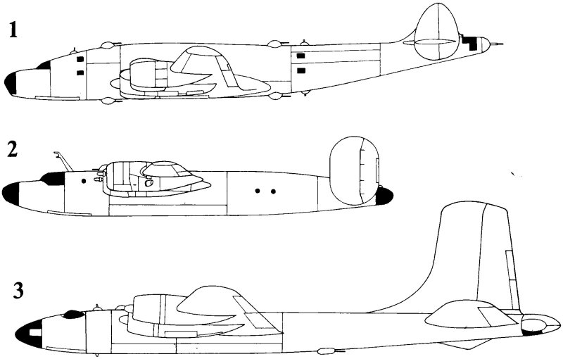 Douglas XB-31