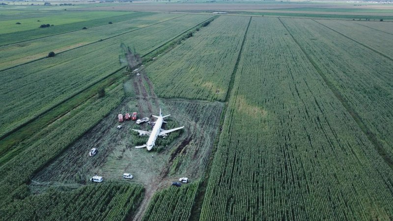 Самолёт сел на кукурузное поле в Жуковском