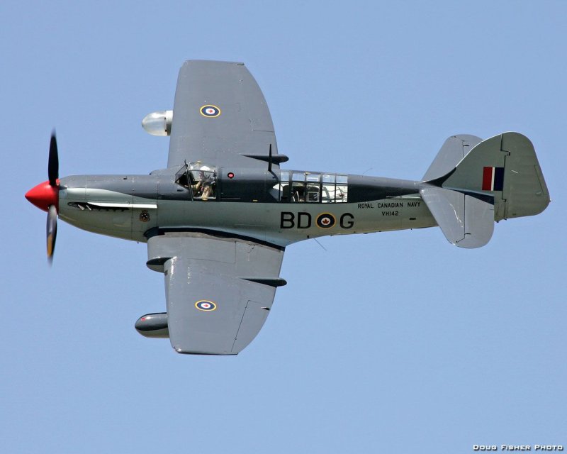 Fairey Firefly самолет