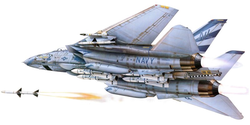 F14 Tomcat США