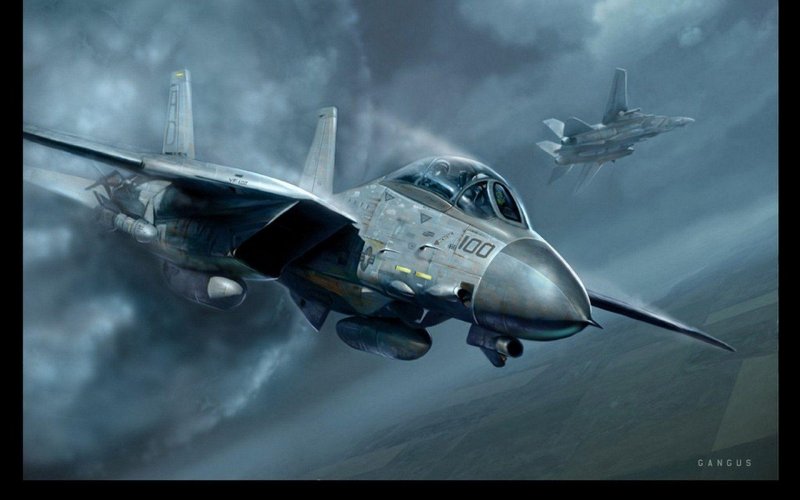 F 14 истребитель