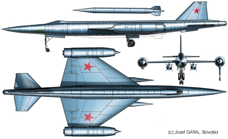 Самолет Цыбина НМ-1