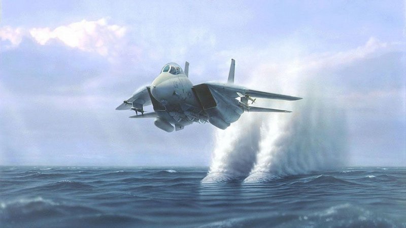 Самолет f-14a Tomcat