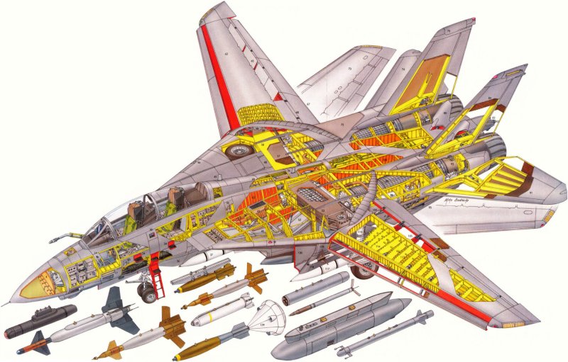 F-14 крыло