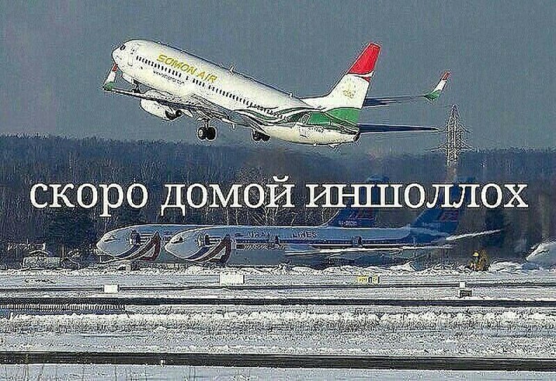 Скоро домой