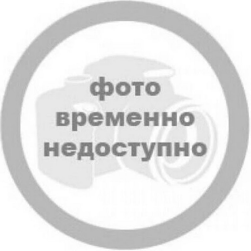 Портрет Ярослава Мудрого