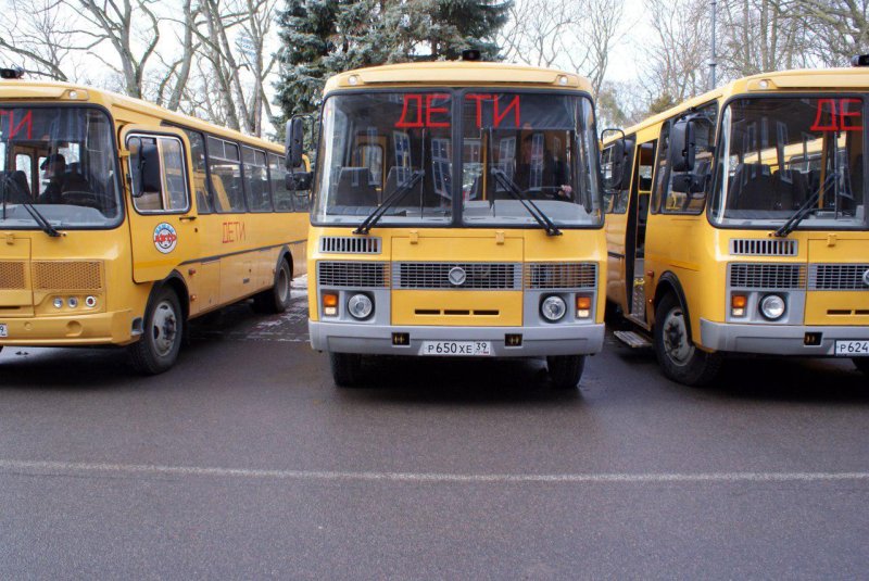 ПАЗ 3101