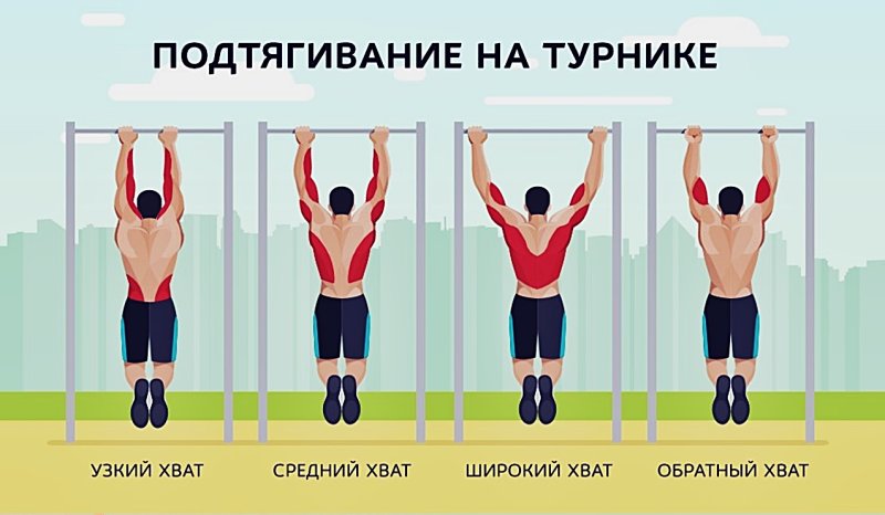 Какие мышцы качаются при подтягивании на турнике