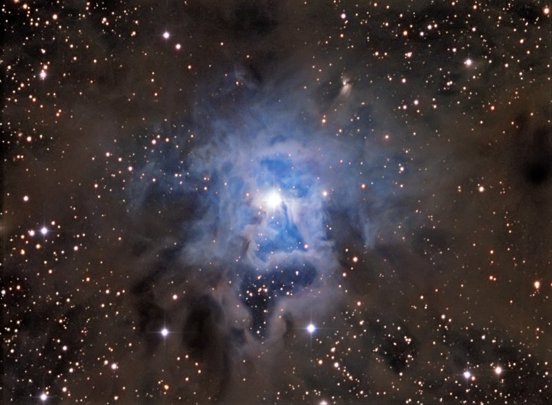 Dust Nebulae in the Constellation Cepheus