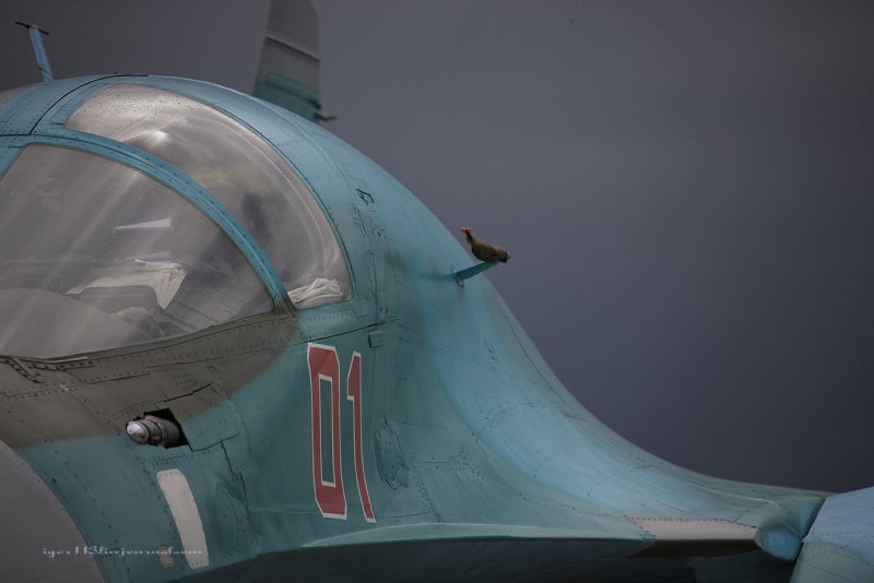 Су-34 крыло