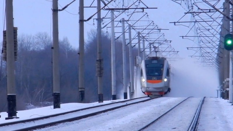 Сапсан в снегу