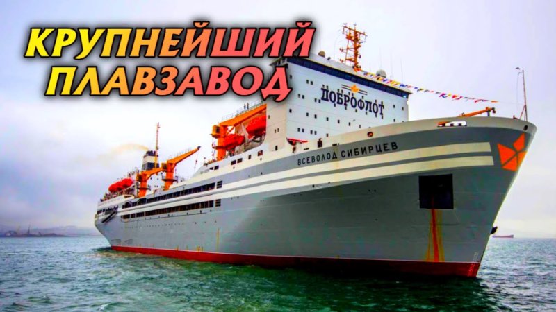 Проклятие Титаника
