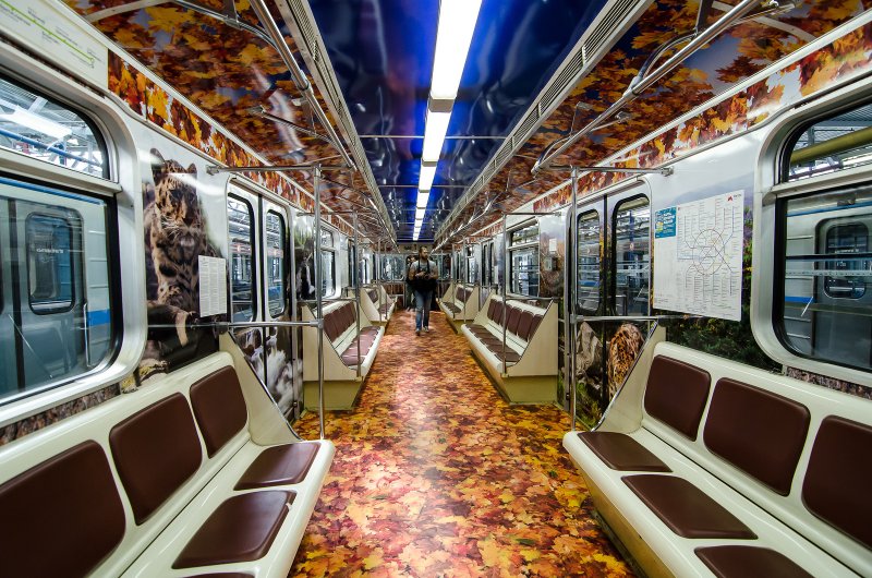 Москва вагон метро