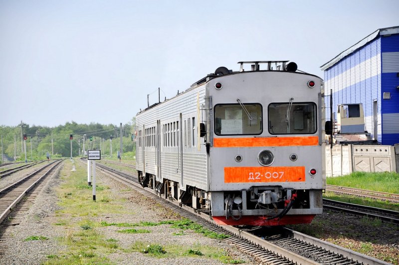 Дизель поезд д222