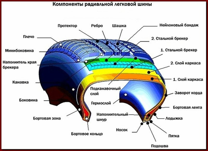 Конструкция автошины легкового автомобиля