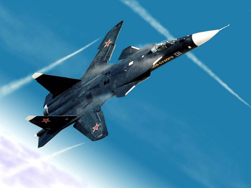 Самолет с обратной стреловидностью крыла Су-47