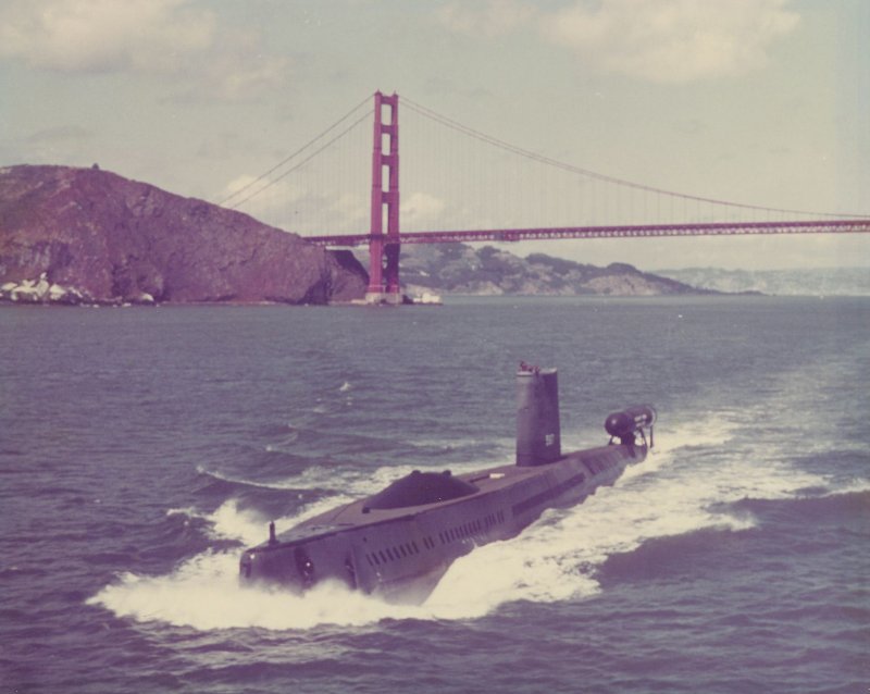 USS Halibut