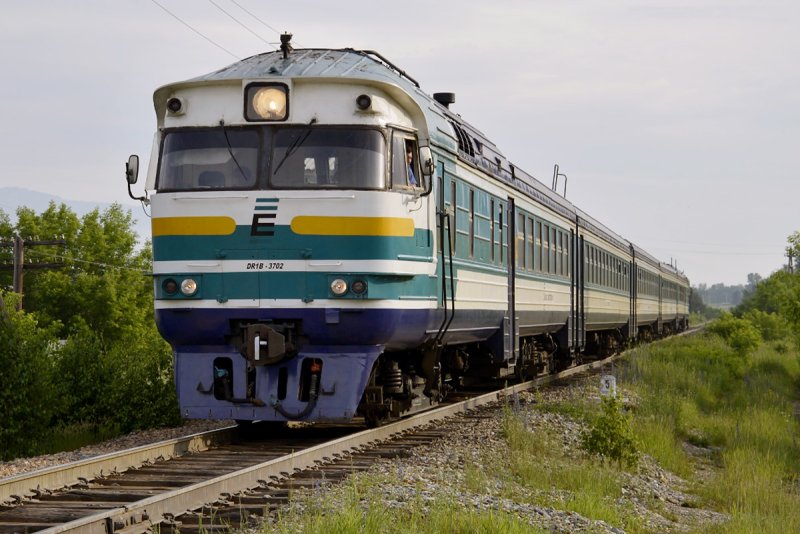 Др1а 310