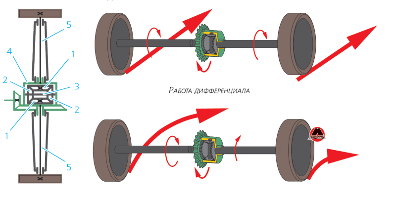 Схема устройства и работы главной передачи и дифференциала