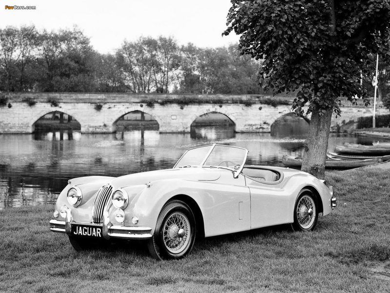 Jaguar xk140 1954