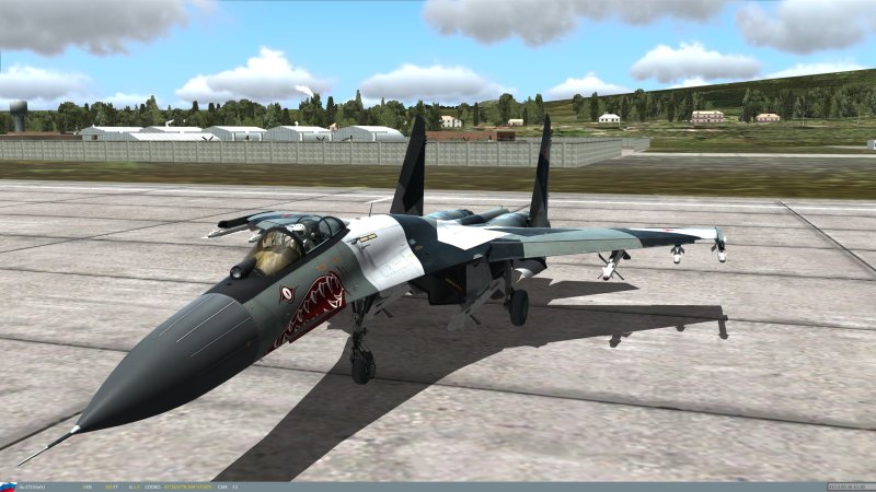 Су-30 DCS