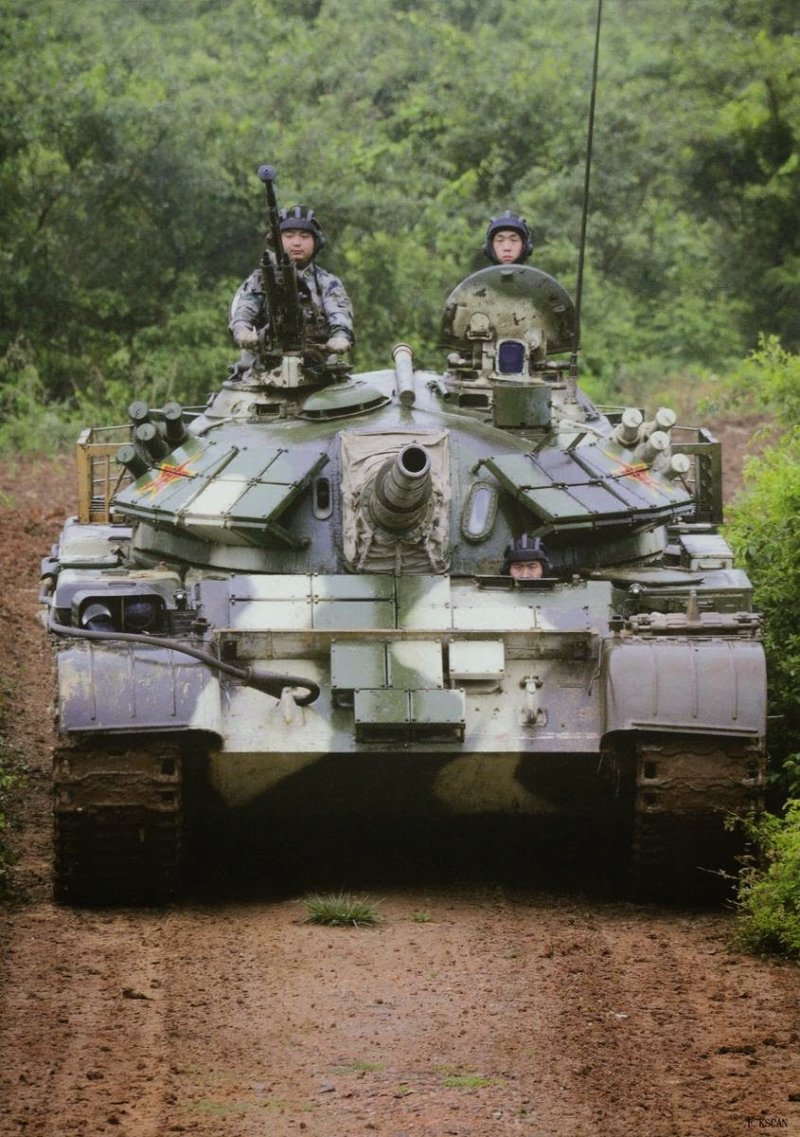 Китайский тайп 59