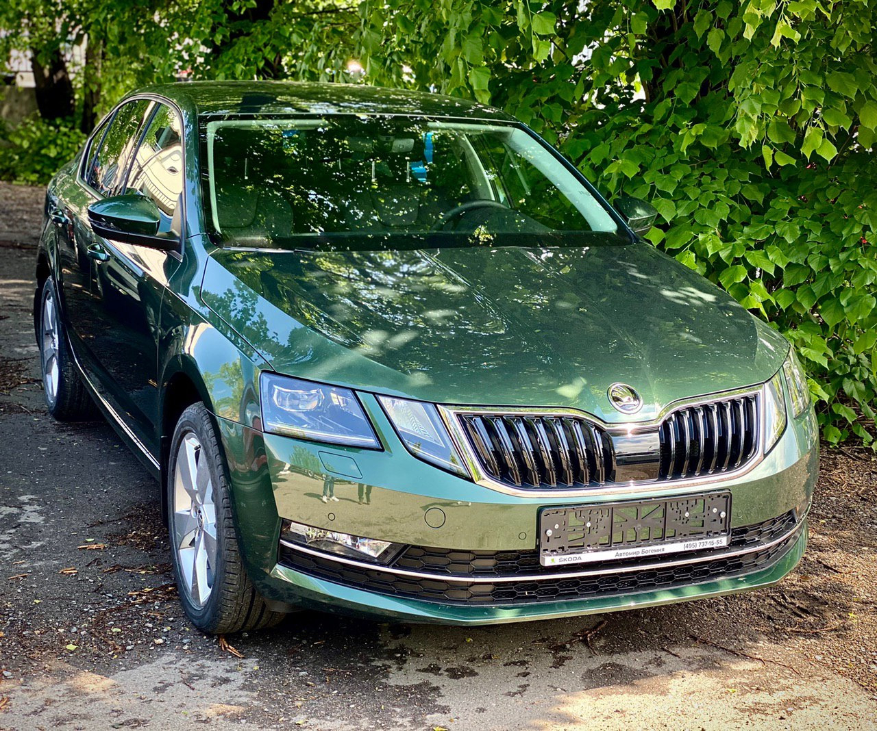 Skoda Octavia Emerald Green