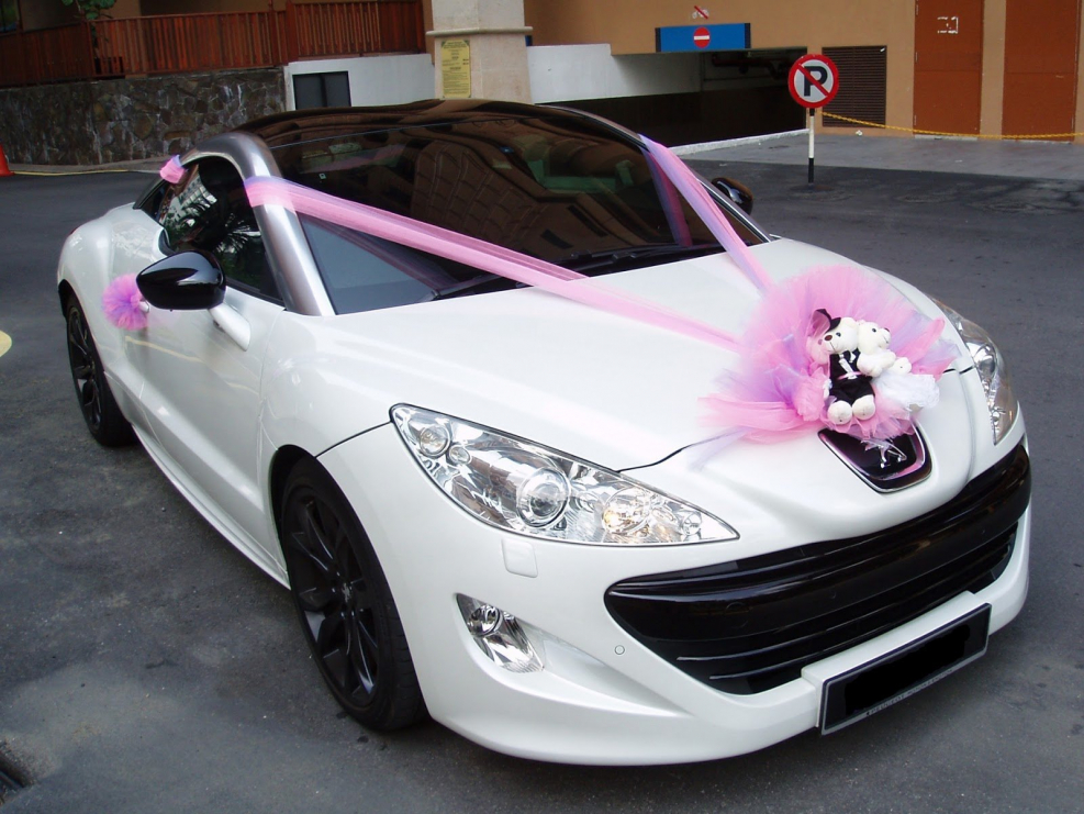 Необычное украшение авто
