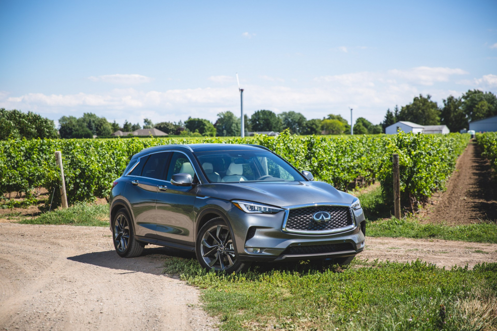 Infiniti qx80 Limited 2019